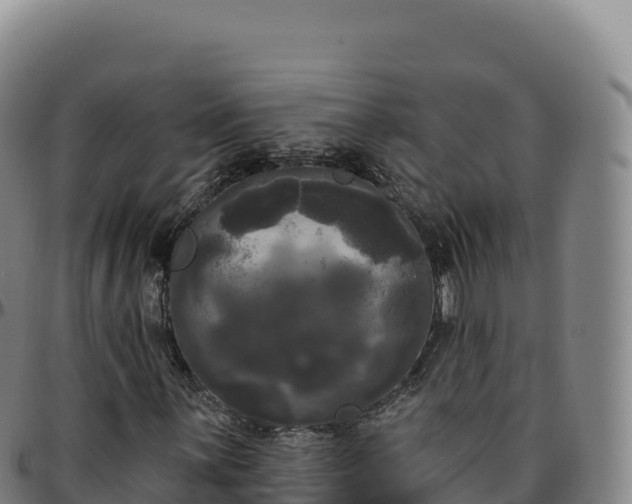 X0000096491059200801311613