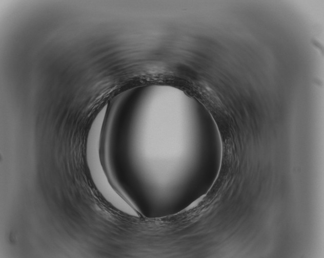 X0000096491060200801311613