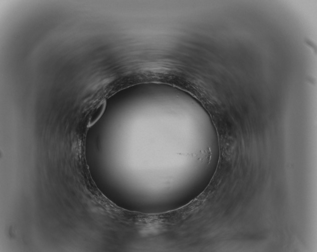 X0000096491061200801311613