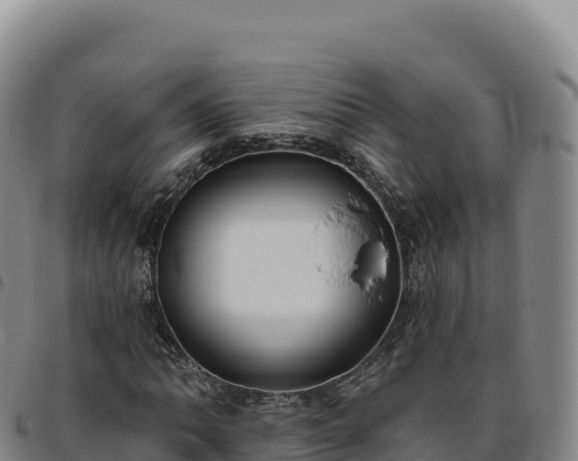 X0000096491062200801311613