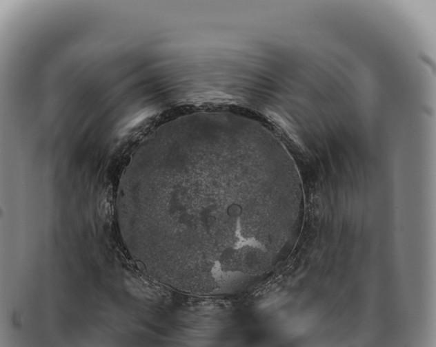 X0000096491063200801311613