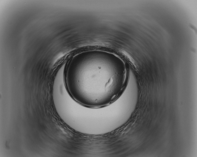 X0000096491064200801311613