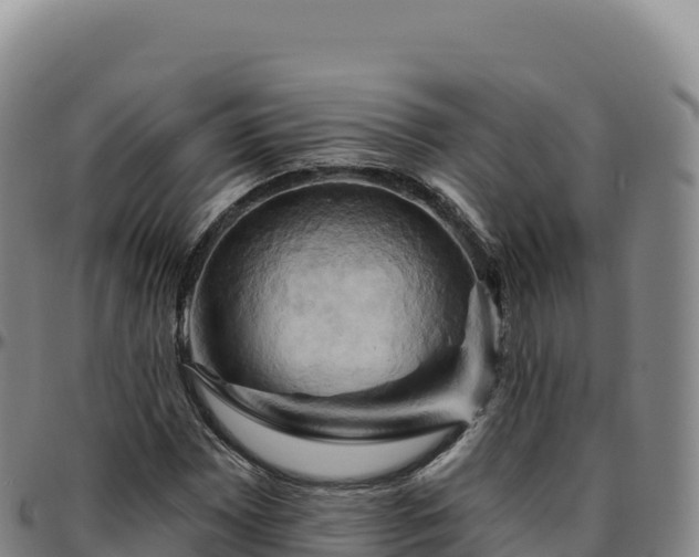 X0000096491065200801311613