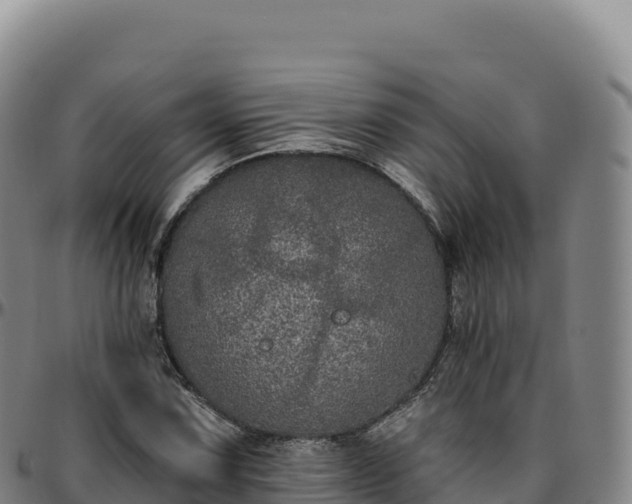 X0000096491067200801311613