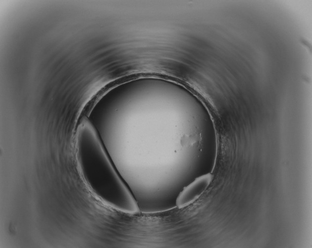 X0000096491068200801311613