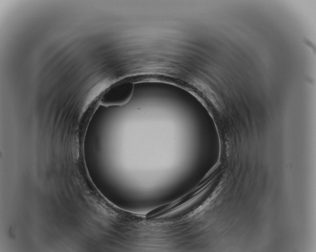 X0000096491069200801311613