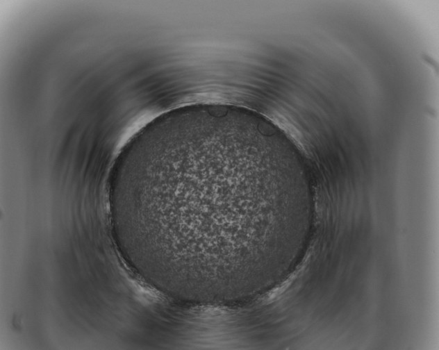 X0000096491070200801311613