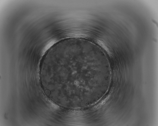 X0000096491071200801311613