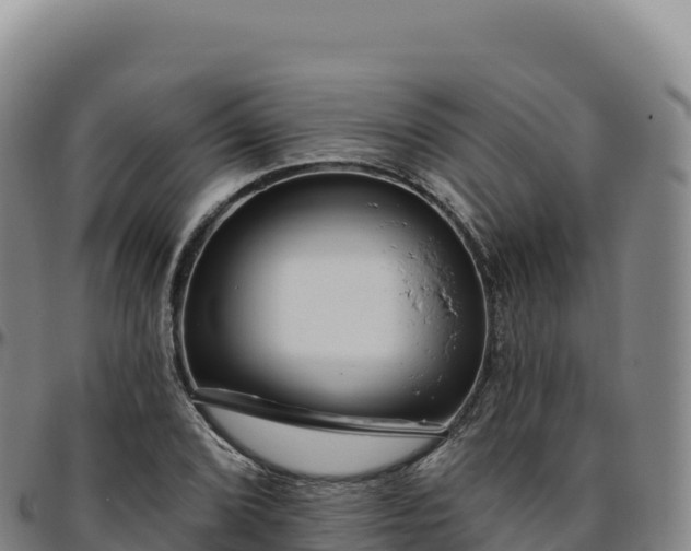 X0000096491072200801311613