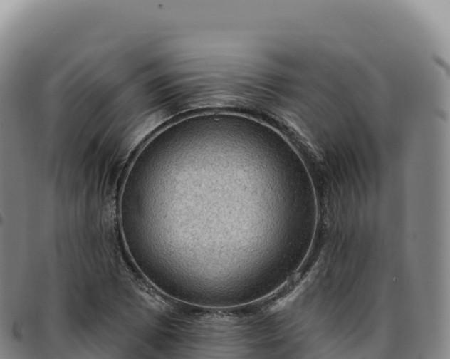 X0000096491073200801311613