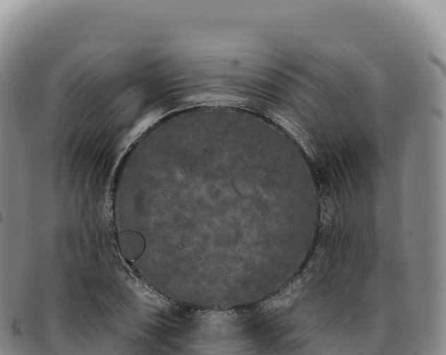 X0000096491074200801311613