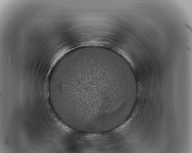 X0000096491075200801311613