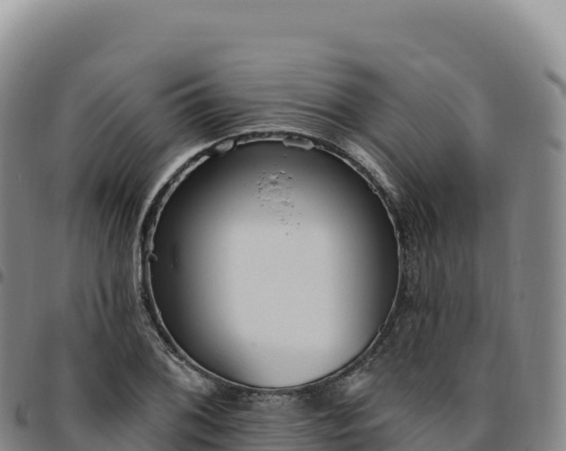 X0000096491076200801311613