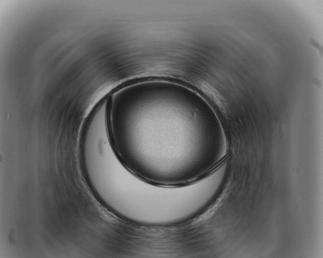 X0000096491077200801311613