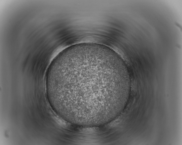 X0000096491078200801311613