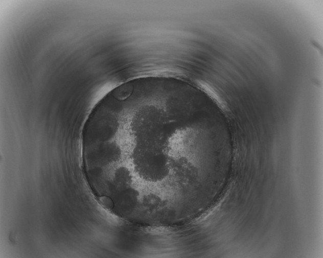 X0000096491079200801311613