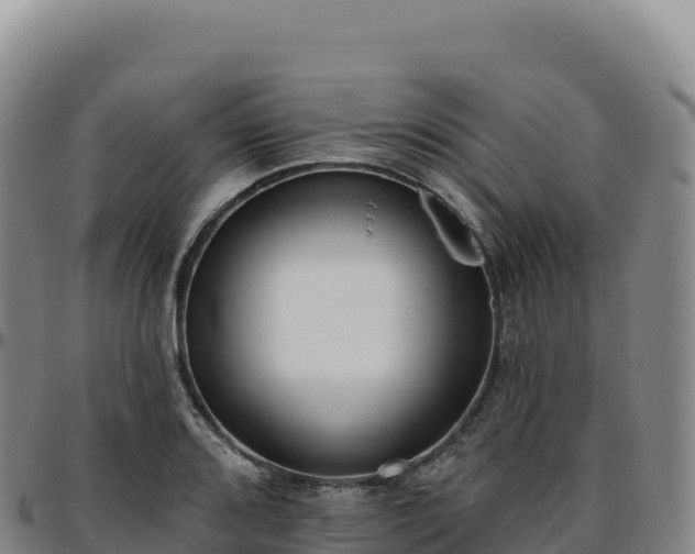 X0000096491080200801311613