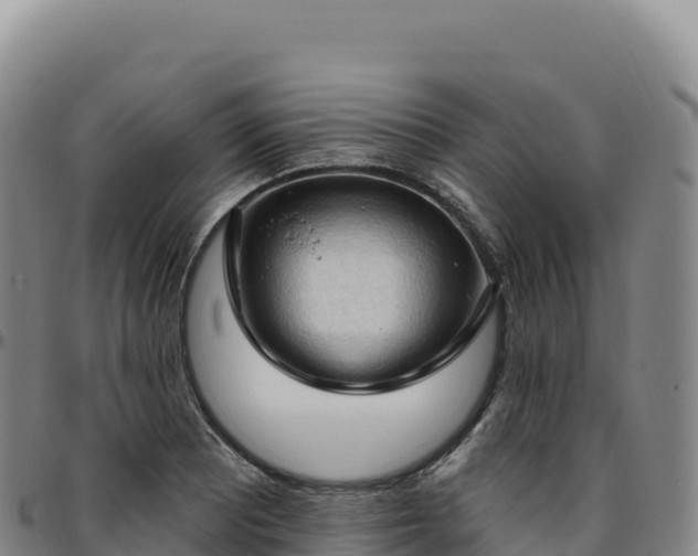 X0000096491081200801311613