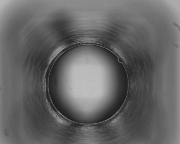 X0000096491082200801311613