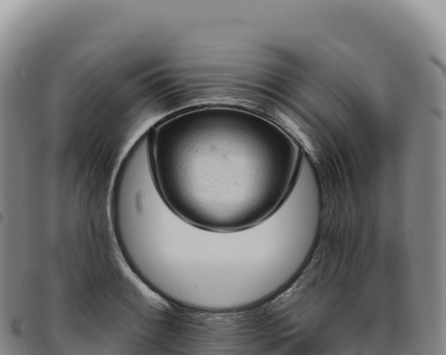 X0000096491084200801311613