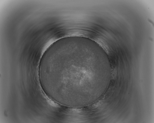 X0000096491086200801311613