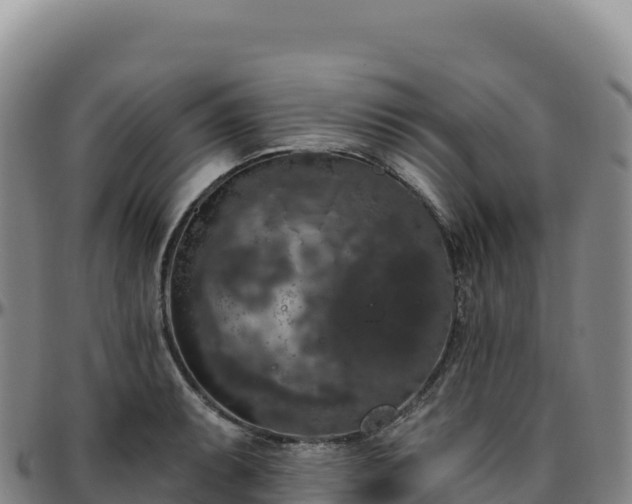 X0000096491087200801311613