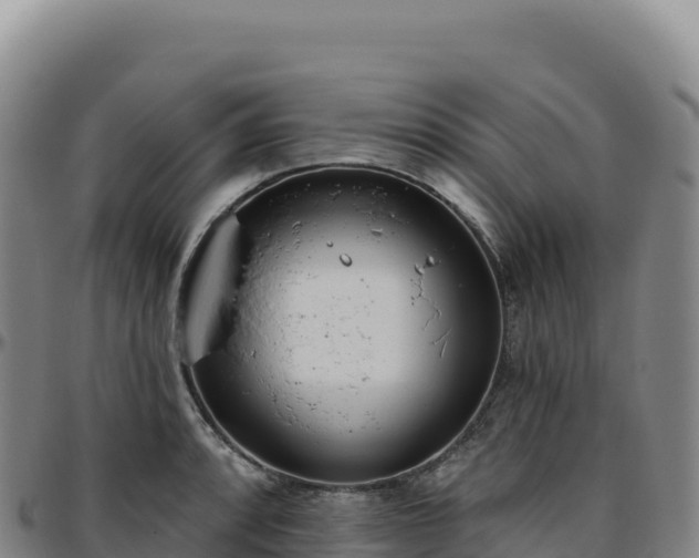 X0000096491088200801311613