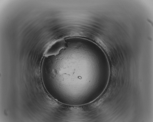 X0000096491089200801311613