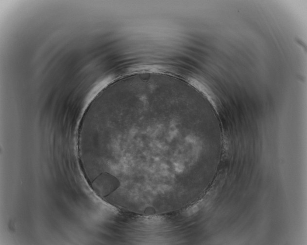 X0000096491090200801311613