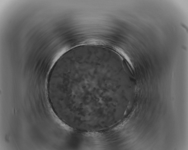 X0000096491091200801311613