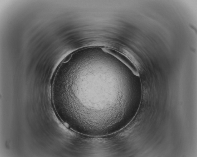 X0000096491092200801311613