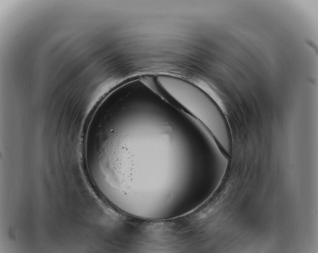 X0000096491093200801311613