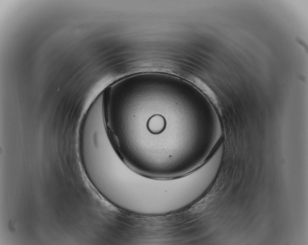 X0000096491096200801311613