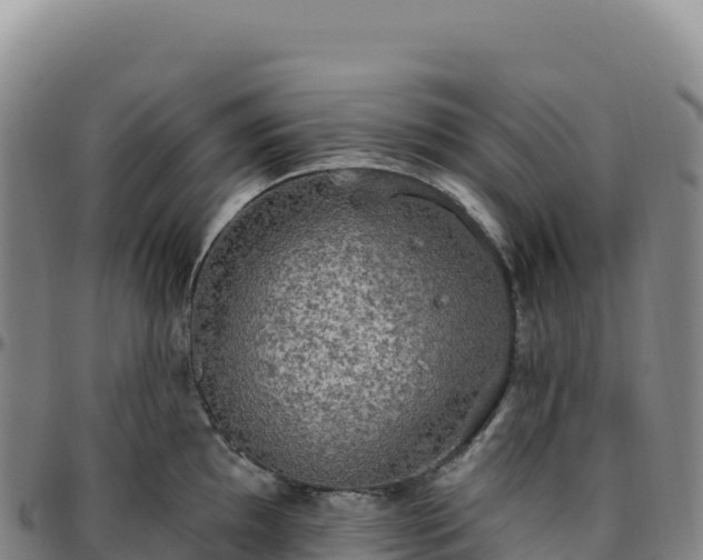 X0000096491097200801311613