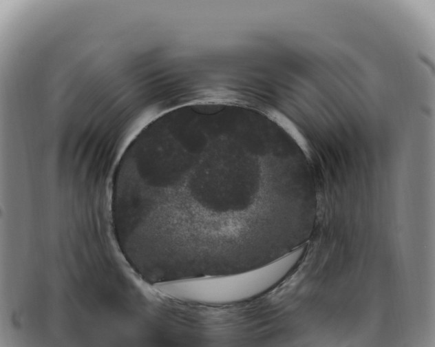 X0000096491099200801311613