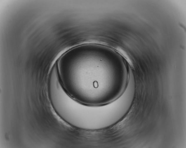 X0000096491100200801311613