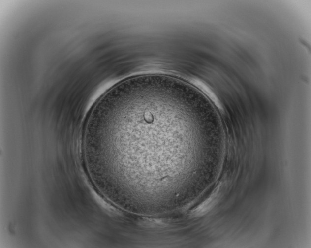 X0000096491101200801311613