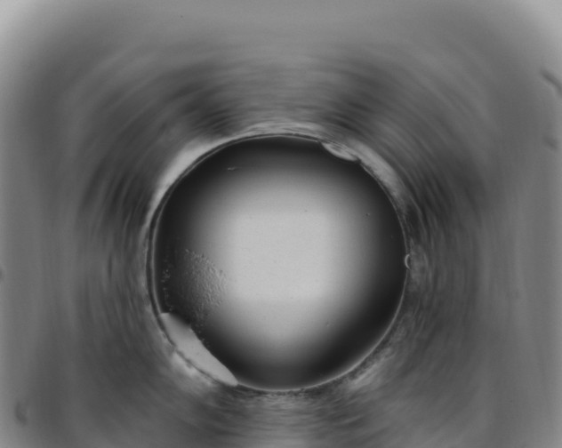 X0000096491102200801311613