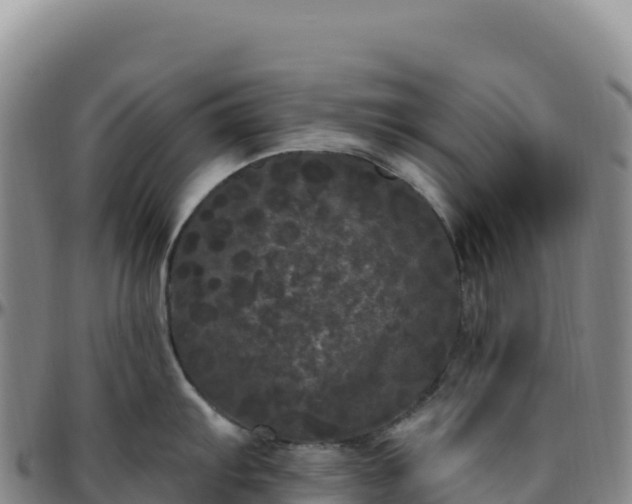 X0000096491103200801311613