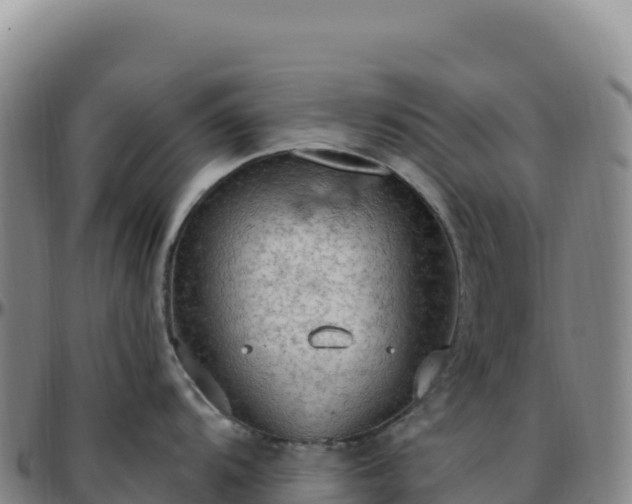 X0000096491104200801311613