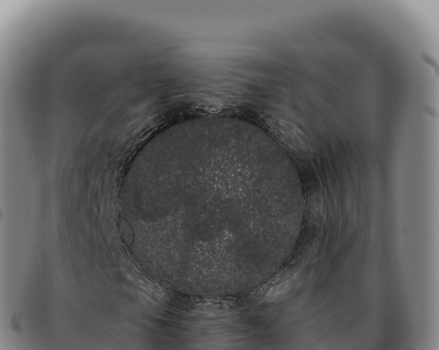 X0000096491105200801311612