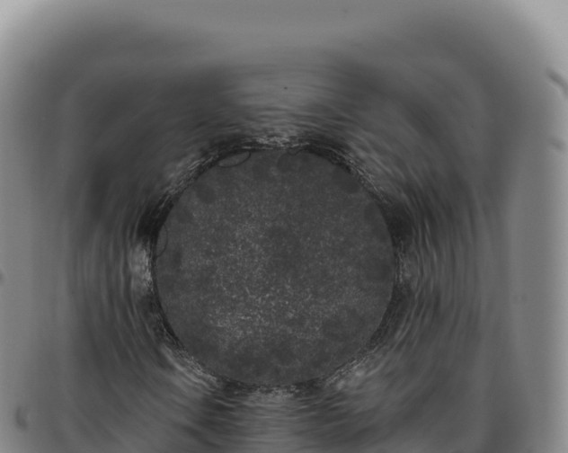 X0000096491106200801311612