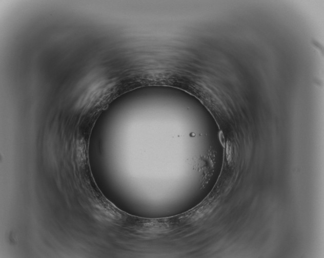 X0000096491107200801311612