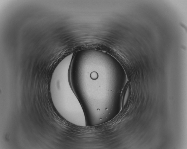 X0000096491108200801311612