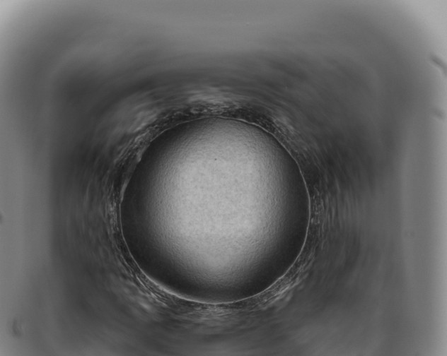 X0000096491109200801311612