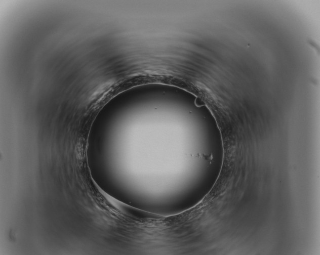 X0000096491110200801311612