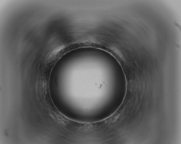 X0000096491111200801311612