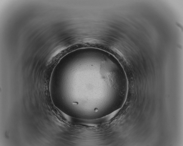 X0000096491112200801311612