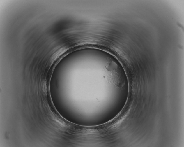 X0000096491113200801311612