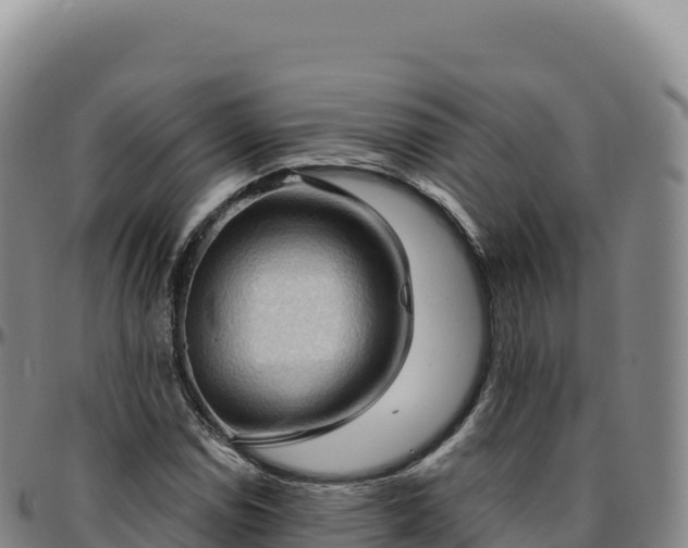 X0000096491114200801311612